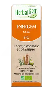 Herbalgem Energem Solution Buvable Bio Fl Cpte-gttes/30ml à Roquemaure