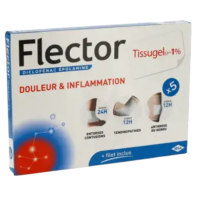 Flector Tissugel - Bte De 5 à TOULON