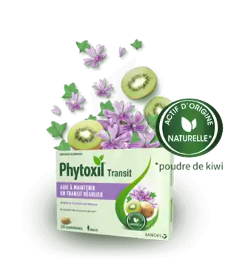 Phytoxil Transit Comprimés B/20 à Saint-Calais