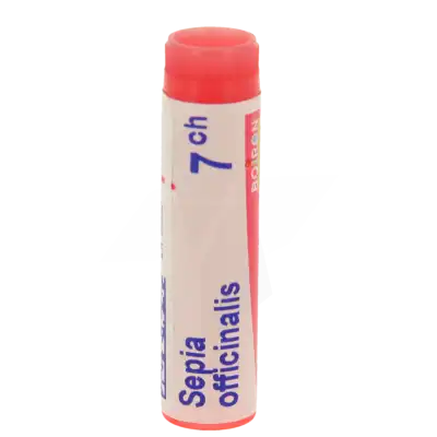 Boiron Sepia Officinalis 7ch Globules Dose De 1g à Blaye