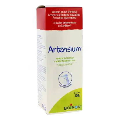 Artensium, Crème à Forbach