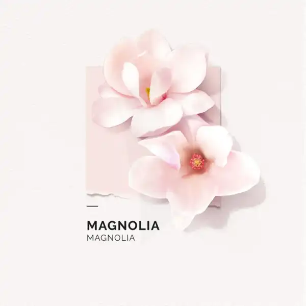 Solinotes Magnolia Eau De Parfum 15ml