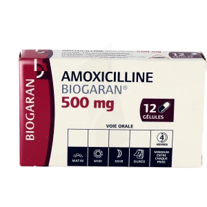 Amoxicilline Biogaran 500 Mg, Gélule