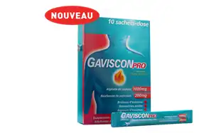 Gavisconpro Menthe, Suspension Buvable En Sachet à Bourges