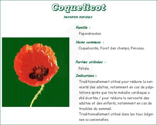 Coquelicot Vitaflor, Bt 25 G