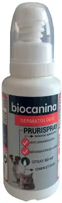 Biocanina Prurispray Lotion Calmante Chat Chien Fl Pulv/80ml à FLEURANCE