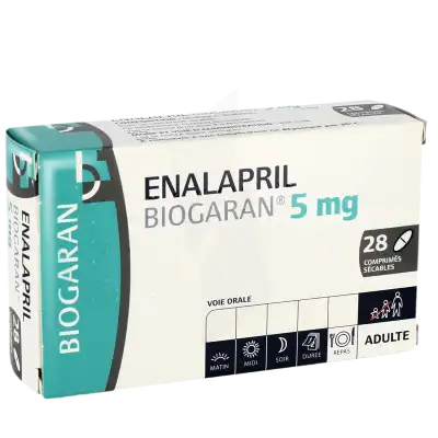 Enalapril Biogaran 5 Mg, Comprimé Sécable à Lavernose-Lacasse