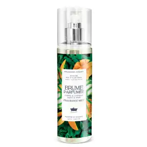 Les Petits Bains De Provence Brume Parfumée Mangue Eau D'aloé Vera Spray/250ml à La Roche-Posay