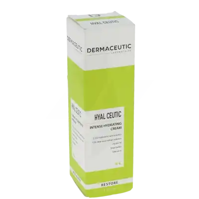 Dermaceutic Hyal Ceutic Cr Hydratante Intense Fl Airless/40ml à Ferney-Voltaire