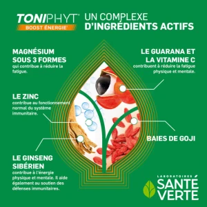 Santé Verte Toniphyt Boost Comprimés Effervescents Orange B/45