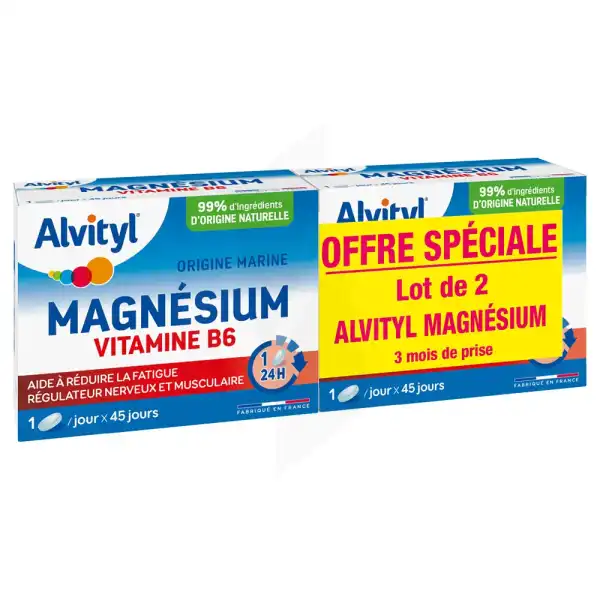 Alvityl Magnésium Vitamine B6 Libération Prolongée Comprimés Lp 2b/45