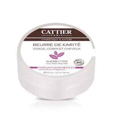 Beurre De Karité - Parfum Fleur Des Iles - 100 G à Bordeaux