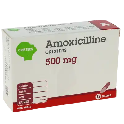 AMOXICILLINE CRISTERS 500 mg, gélule