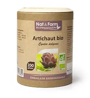 Nat&form Eco Responsable Artichaut Bio Gélules B/200 à Fronton