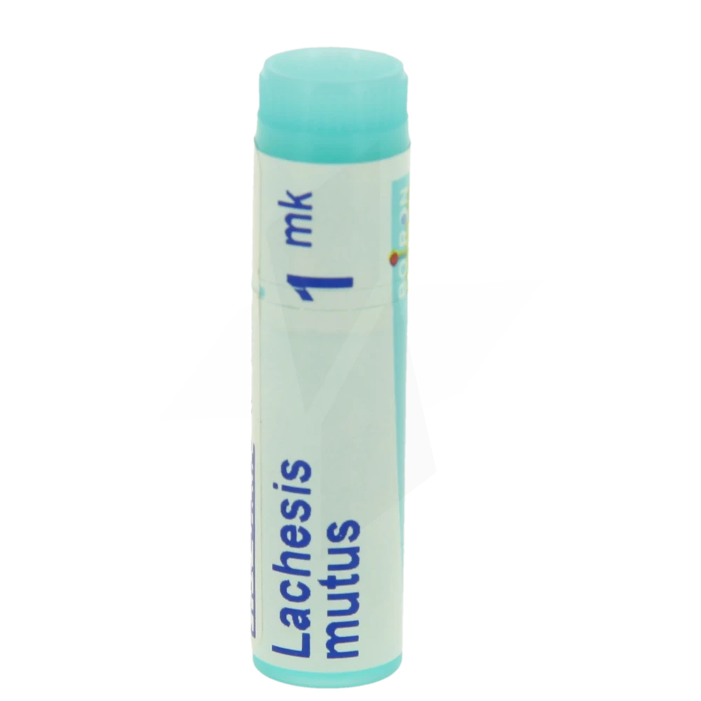 Boiron Lachesis Mutus 1mk Globules Dose De 1g