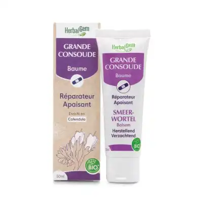 Herbalgem Bme à La Grande Consoude T/50ml à VOGÜÉ