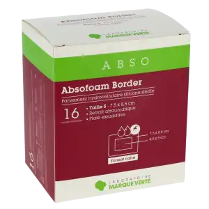 Absofoam Border Pans Hydrocellulaire 7,5x8,5cm B/16 à Ris-Orangis