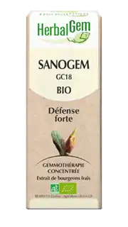 Herbalgem Sanogem Solution Buvable Bio Spray/15ml à Angers