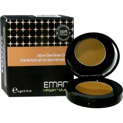 Emani Fard Crème Tout-en-un Pour Les Sourcils 4g (409) Blonde / Gray à Annecy
