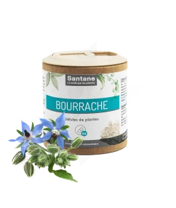 Santane Bourrache Gélules De Poudre De Plantes 500mg B/60