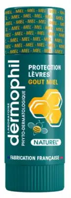 Dermophil Indien Stick Protection LÈvres Miel 4g à Saint Orens de Gameville