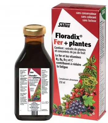 Floradix Fer+plantes Boisson Vigueur énergie 250ml à Blaye