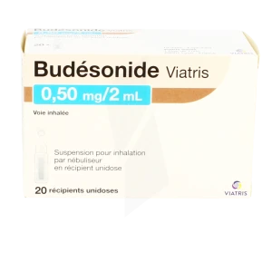 Budesonide Viatris 0,50 Mg/2 Ml, Suspension Pour Inhalation Par Nébuliseur En Récipient Unidose
