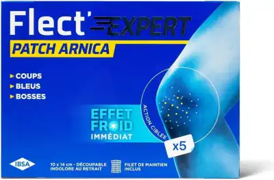 Flect'expert Patch Froid B/5 à JOINVILLE-LE-PONT