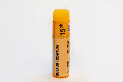 Boiron Sulfur Iodatum 15ch Globules Dose De 1g à LIVRON-SUR-DROME