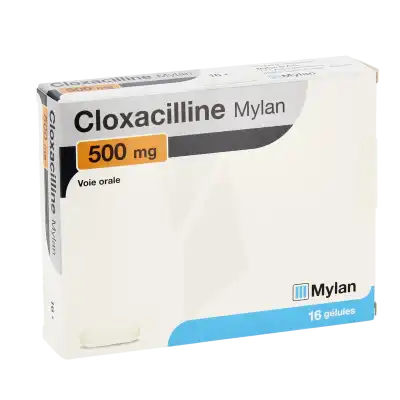Cloxacilline Viatris 500 Mg, Gélule à SAINT-PRIEST
