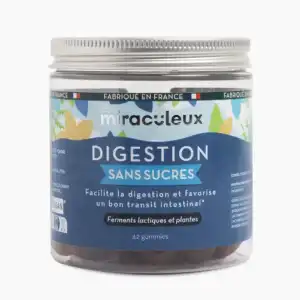 Acheter Les miraculeux Gummies Digestion sans sucre Gommes Pot/42 à DIJON