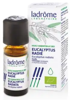LadrÔme Huile Essentielle Eucalyptus Radie Bio 10ml à Toulouse