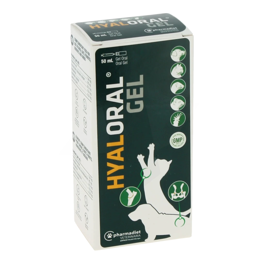Hyaloral Gel Or Fl/50ml