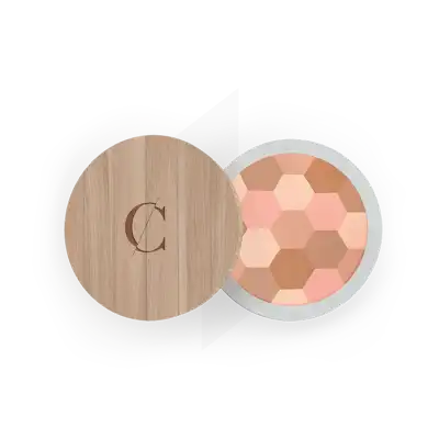 Couleur Caramel Poudre Mosaïque N°232 Teint Clair 8,5g à BOURBON-LANCY
