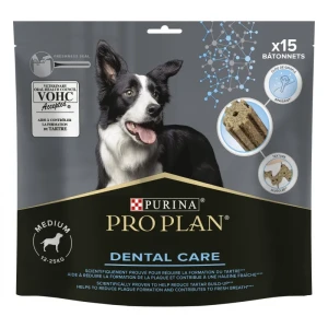 Dental Care Medium (15-25 Kg)