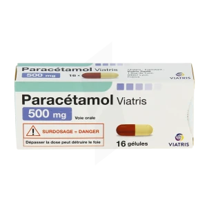 Paracetamol Mylan 500 Mg, Gélule Plq/16