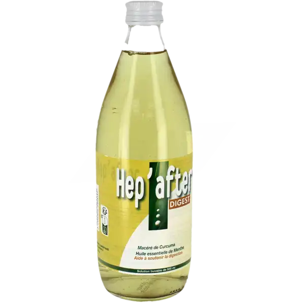 Hep'after Digest Solution Buvable Bouteille/550ml