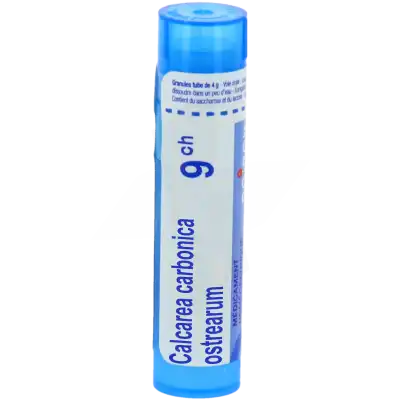 Calcarea Carbonica Ostrearum 9ch Granules à Saint-Avold