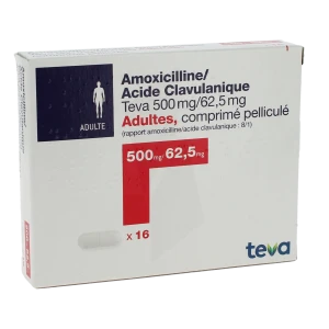 Amoxicilline/acide Clavulanique Teva 500 Mg/62,5 Mg Adultes, Comprimé Pelliculé (rapport Amoxicilline/acide Clavulanique : 8/1)