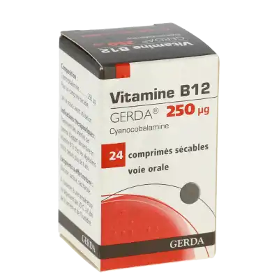 Vitamine B12 Gerda 250 Microgrammes, Comprimé Sécable à DIJON