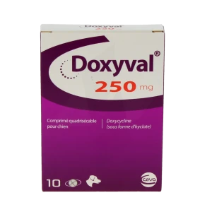 Doxyval 250 Mg Comprime Quadrisecable Pour Chien, Comprimé