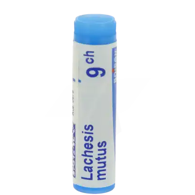 Boiron Lachesis Mutus 9ch Globules Dose De 1g à DIJON