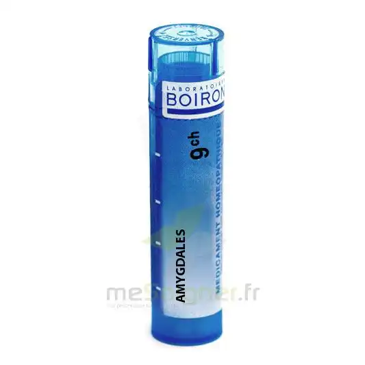 Boiron Amygdales 9ch Granules Tube De 4g