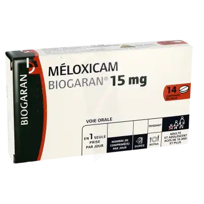 Meloxicam Biogaran 15 Mg, Comprimé Sécable à LA TREMBLADE