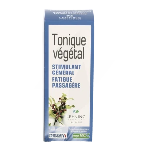 Lehning Tonique Vegetal S Buv Fl/250ml