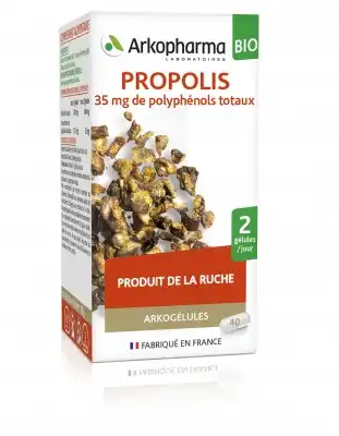 Arkogélules Propolis Bio Gélules Fl/45 à Le Teich