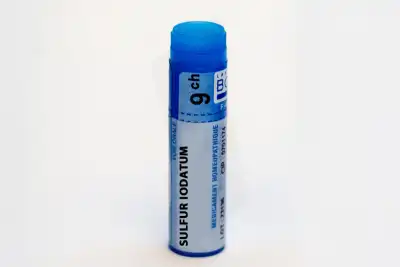 Boiron Sulfur Iodatum 9ch Globules Dose De 1g à Ris-Orangis