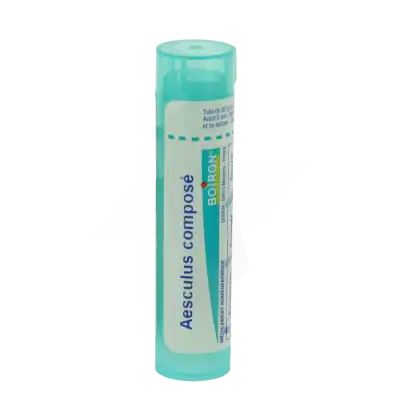 Boiron Aesculus Compose Granules Tube De 4g à LA-RIVIERE-DE-CORPS