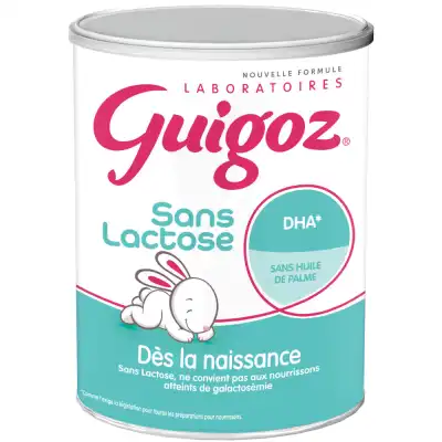Guigoz Sans Lactose Lait En Poudre B/400g à BU