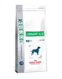 Royal Canin Vdiet Urinary S/o 2kg à VERNOUX EN VIVARAIS